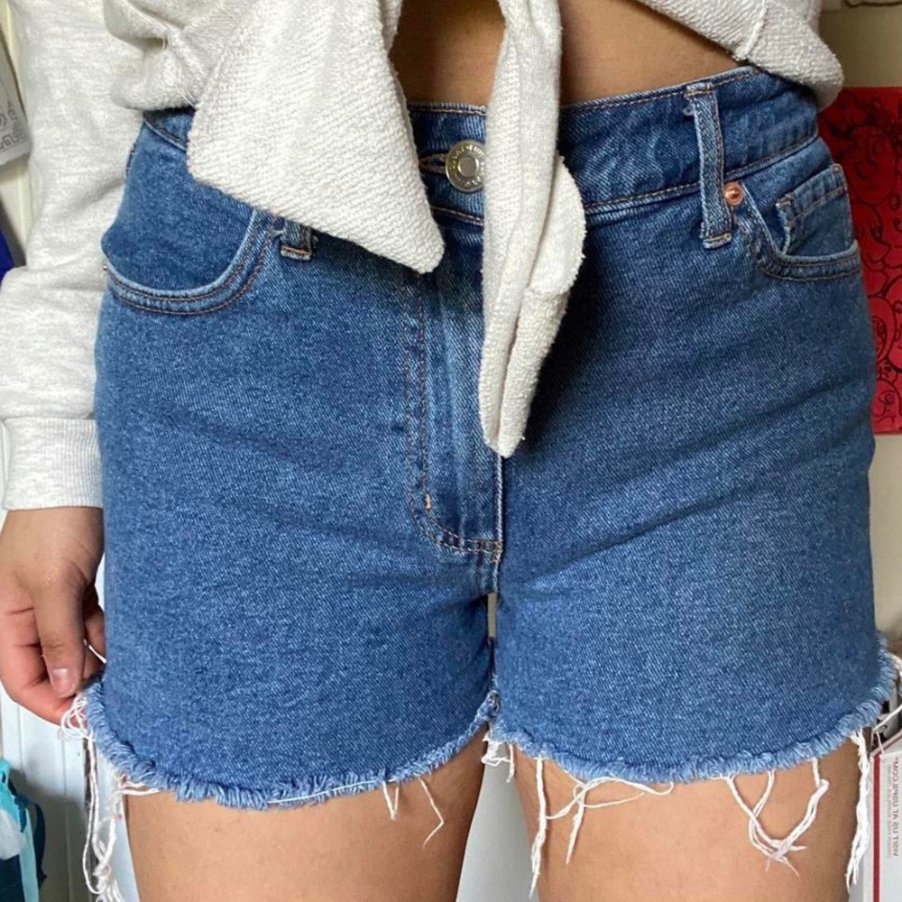 wild fable shorts